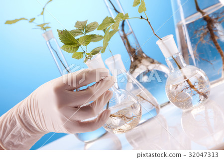 Ecologic laboratory Ecologic laboratory 32047313