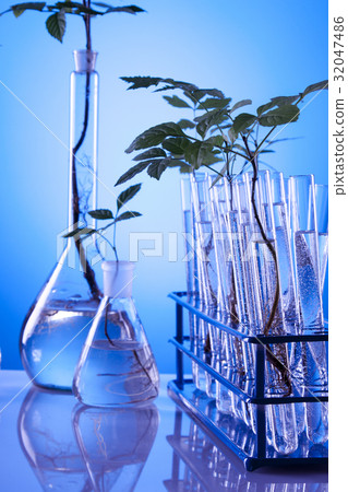 Ecologic laboratory Ecologic laboratory 32047486