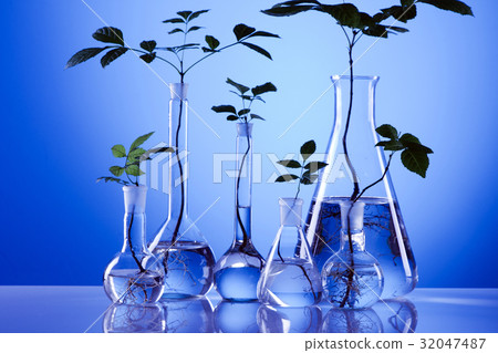 Ecologic laboratory Ecologic laboratory 32047487