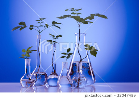Ecologic laboratory Ecologic laboratory 32047489