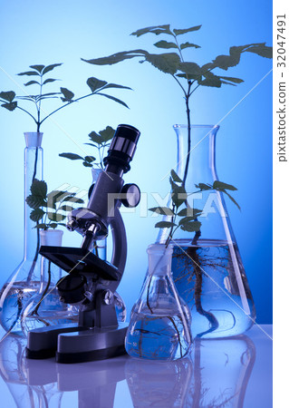 Ecologic laboratory Ecologic laboratory 32047491