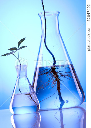 Ecologic laboratory Ecologic laboratory 32047492