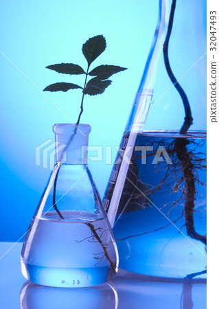 Ecologic laboratory Ecologic laboratory 32047493