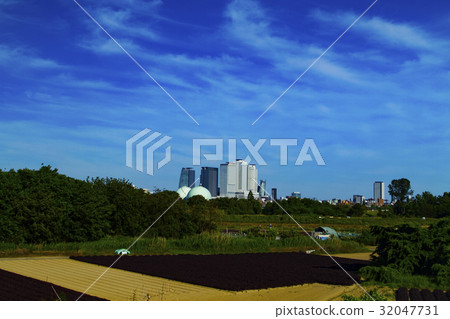 Nagoya city city landscape Nagoya city city landscape 32047731