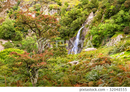 Aber Falls in Showdonia National Park Aber Falls in Showdonia National Park 32048555