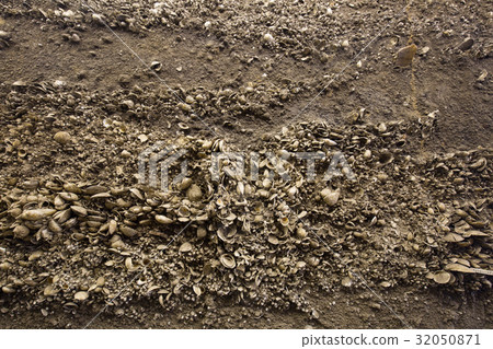 Kaso Ri middenza Kaso Ri middenza 32050871