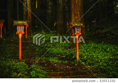 Shinto firefly Shinto firefly 32051150