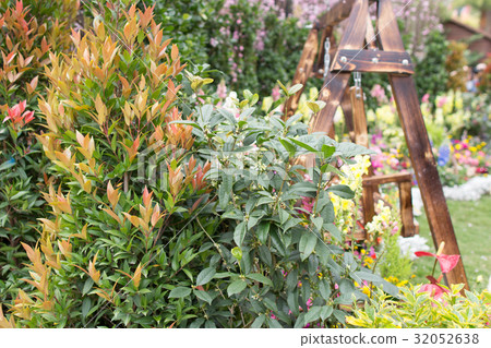 the hong kong flower show at 2017 32052638