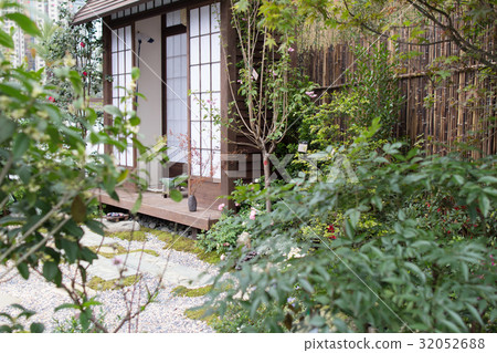 peaceful zen rock garden with papyrus plant peaceful zen rock garden with papyrus plant 32052688