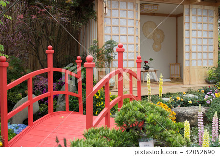 peaceful zen rock garden with papyrus plant peaceful zen rock garden with papyrus plant 32052690