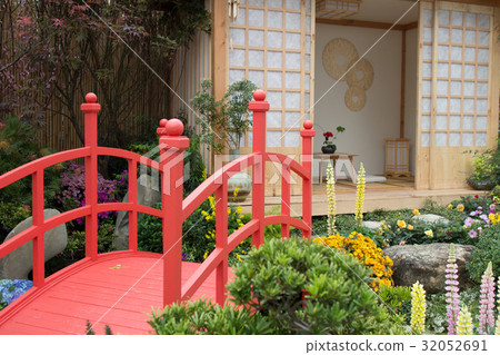 peaceful zen rock garden with papyrus plant peaceful zen rock garden with papyrus plant 32052691