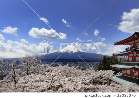 Cherry blossoms in spring and Mt. Fuji Cherry blossoms in spring and Mt. Fuji 32053070