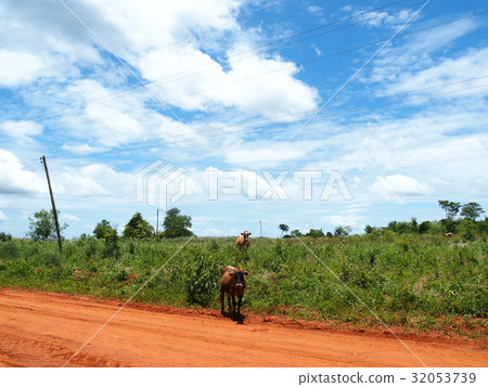 Paraguayan landscape 32053739
