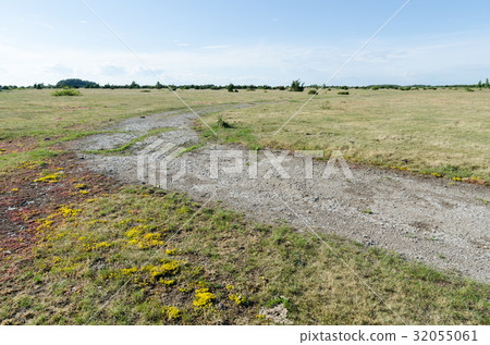 Winding country road in a plain grassland 32055061
