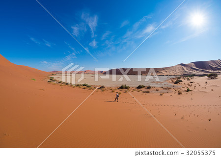 Tourist walking on the scenic dunes of Sossusvlei 32055375