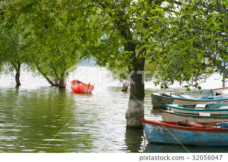 An old boat near the tree 32056047