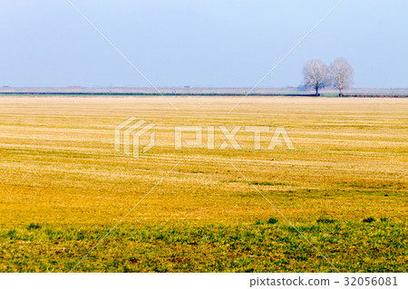 Rural Italian landscape from Po river lagoon. Rural Italian landscape from Po river lagoon. 32056081