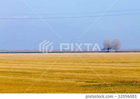 Rural Italian landscape from Po river lagoon. Rural Italian landscape from Po river lagoon. 32056083