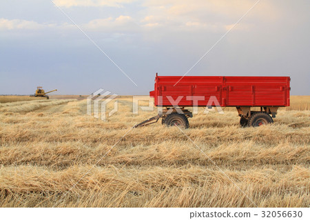 Harvester is working in the field during harvest  32056630