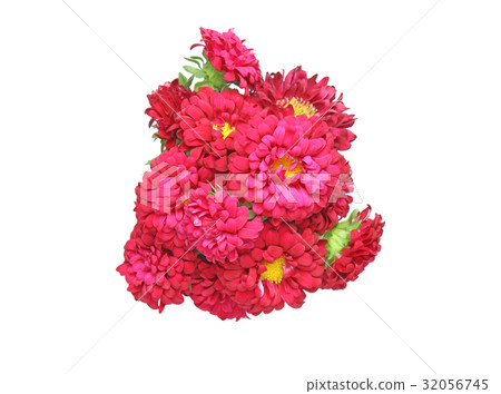 Chrysanthemum bouquet Chrysanthemum bouquet 32056745