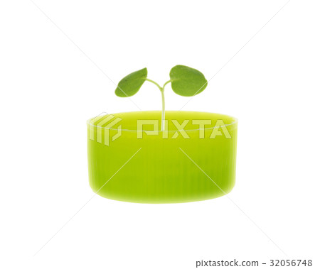 Pet bottle cap and futaba Pet bottle cap and futaba 32056748