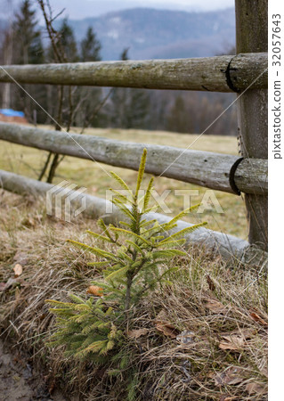 wooden fence with overlooking to mountains 32057643