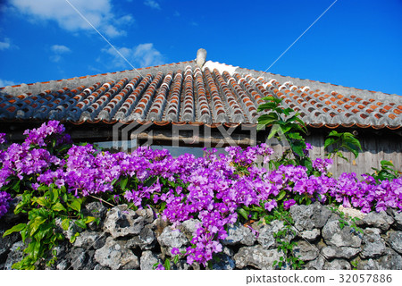 Ryukyus old houses in Taketomijima 32057886