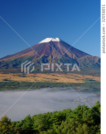 Oshino Fuji 32058851