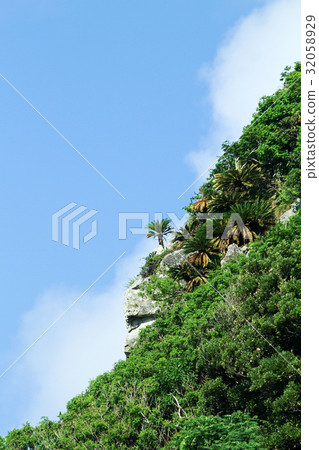 Cycades山 Cycades山 32058929