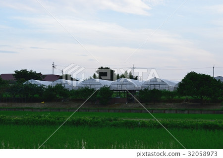 vinyl house  32058973