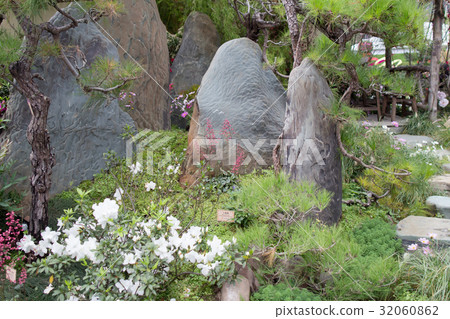 peaceful zen rock garden with papyrus plant peaceful zen rock garden with papyrus plant 32060862