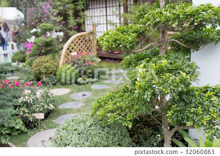 peaceful zen rock garden with papyrus plant 32060863