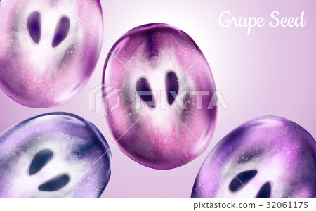 grape elements illustration 32061175