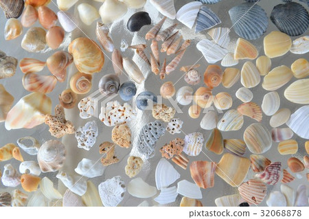 Shell片段集合 32068878