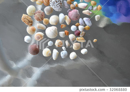 在玻璃桌上的一個小貝殼 32068880