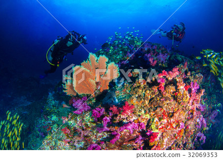 A photographer enjoyed diving in the blue world. 32069353