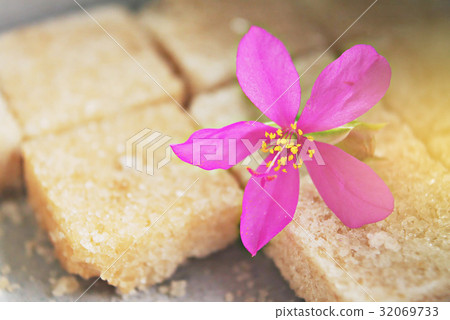 Talinum paniculatum Gaertn, flower on the sugar. Talinum paniculatum Gaertn, flower on the sugar. 32069733