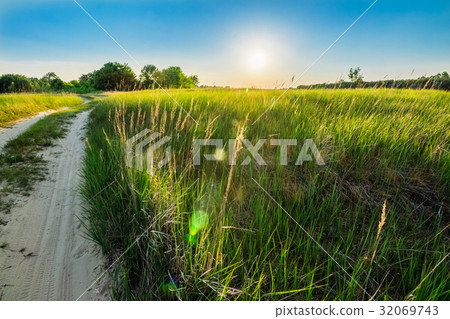 Landscape with a rural sandy road and green grass Landscape with a rural sandy road and green grass 32069743