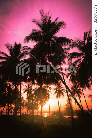 Silhouette coconut palm trees on beach at sunset. 32070578