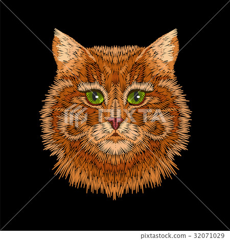 Red orange striped cat green eyes face head. 32071029