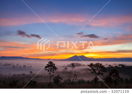 Landscape morning sunrise at Thung Salang Luang 32071139