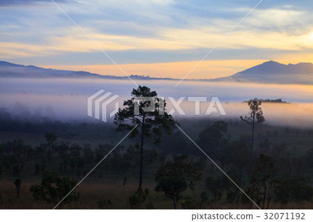 Misty morning sunrise at Thung Salang Luang Misty morning sunrise at Thung Salang Luang 32071192