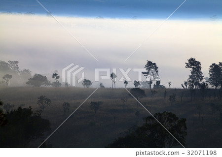 Misty morning sunrise at Thung Salang Luang Misty morning sunrise at Thung Salang Luang 32071198