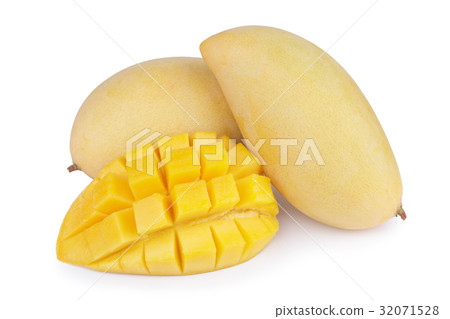 yellow mango fruit on white background yellow mango fruit on white background 32071528