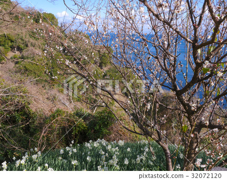 Nada Kuroiwa Water Sengoku 32072120