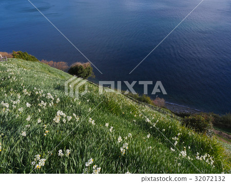 Nada Kuroiwa Water Sengoku 32072132