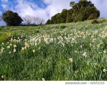 Nada Kuroiwa Water Sengoku 32072133