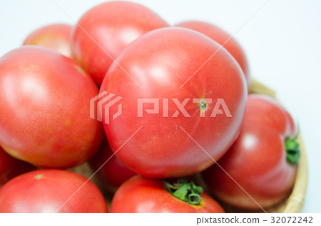 蕃茄 蕃茄 32072242