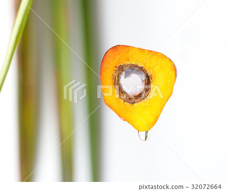 Oil Palm Fruit 32072664