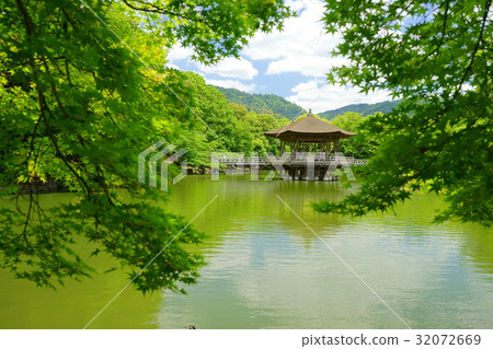 新鮮的綠色是清爽的洪水大廳 新鮮的綠色是清爽的洪水大廳 32072669